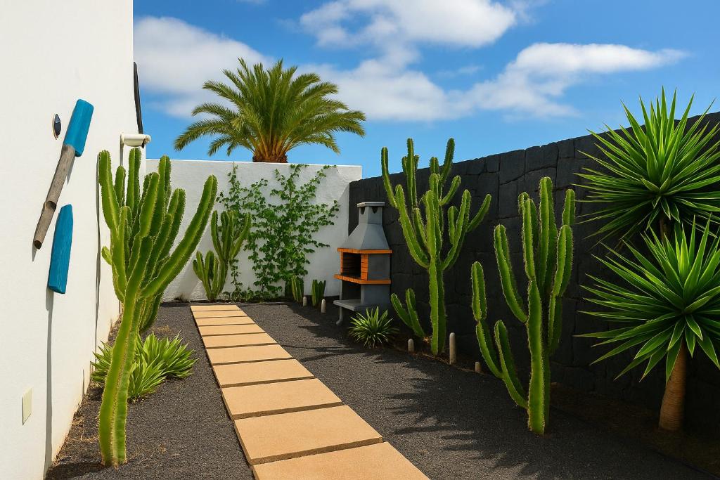 ein Garten mit Kakteen und einem Zaun mit einer Lampe in der Unterkunft VILLA BARRACUDA - "Seaview 3min walk to the beach" in Playa Blanca