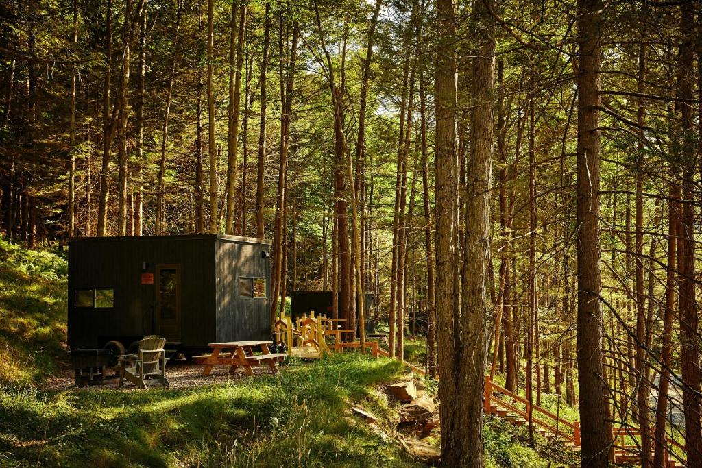 a shed in the middle of a forest at Postcard Cabins Eastern Catskills, Outdoor Collection by Marriott Bonvoy in Catskill