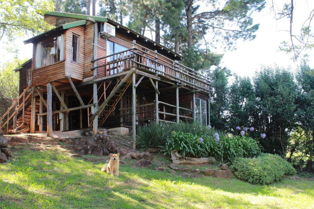a dog sitting in front of a wooden house at Treks, Trips and Trails in Champagne Valley