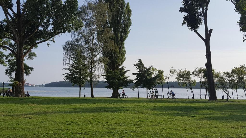 Príroda v okolí apartmánu