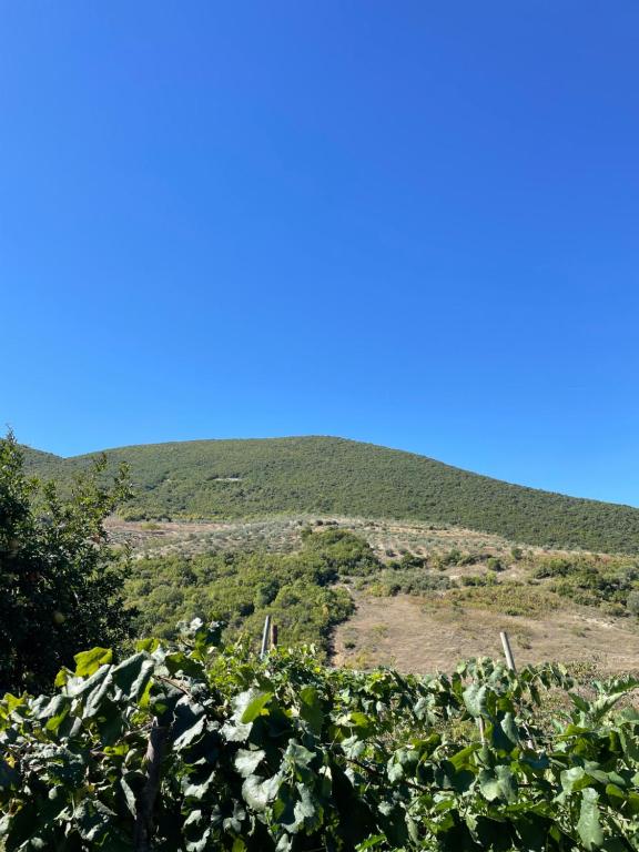 Naturlandskabet i nærheden af landstedet
