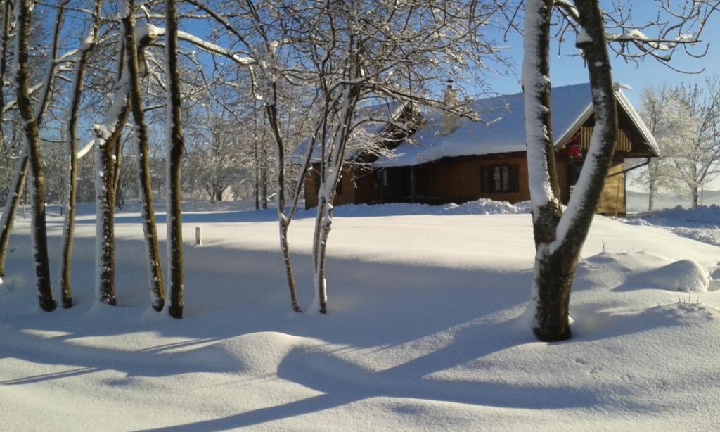Fotografie z fotogalerie ubytování House Marijana v destinaci Rakovica