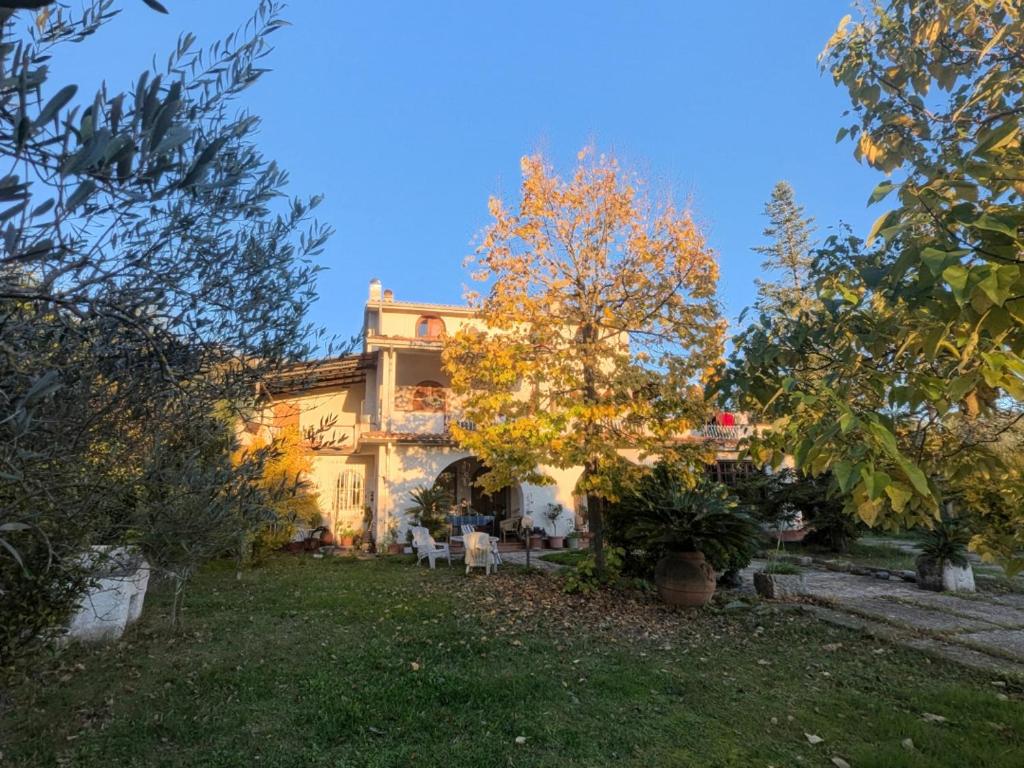 Φωτογραφία από το άλμπουμ του Samur - Attic σε Le Pastinelle