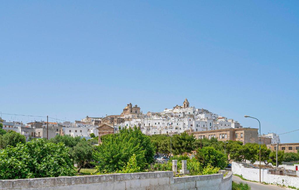 a view of a city with buildings on a hill at Gorgeous Home In Ostuni in Ceglie Messapica