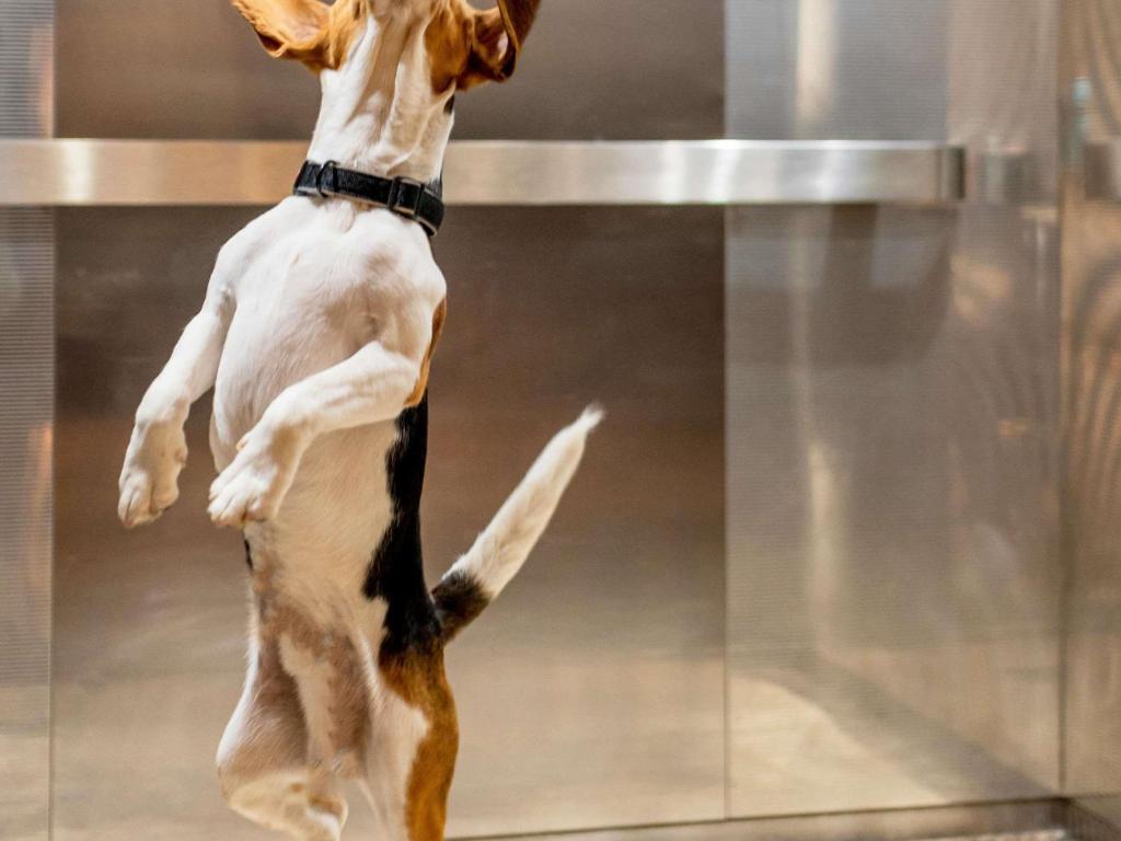 ibis Liège Centre Opéra - Resim 21