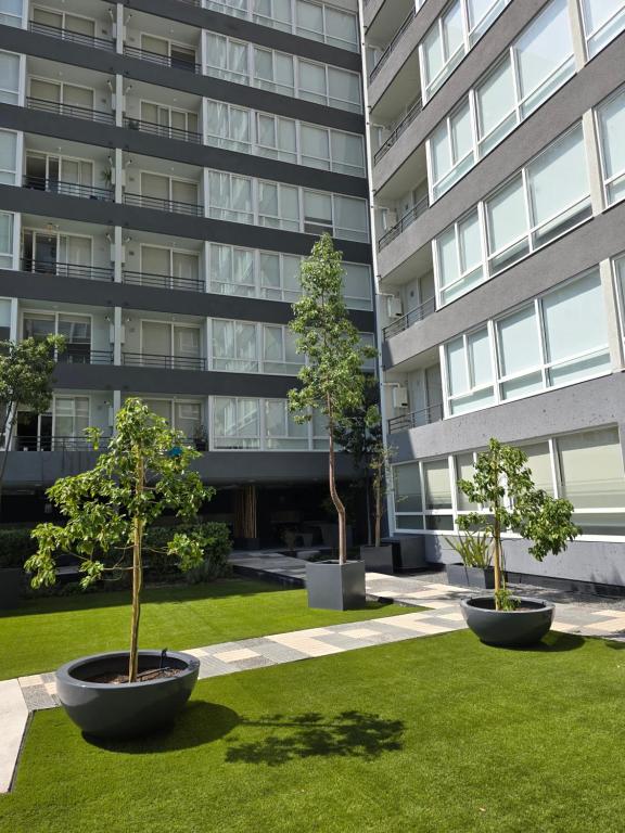 two trees in front of a building at Departamento Nuevo Central Familiar in Rancagua