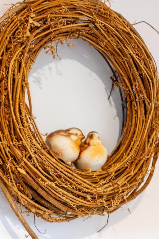 The Nest - Modern Studio Retreat with Parking - Resim 24