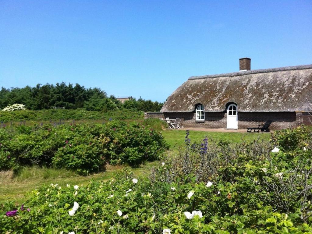 an old house with a thatched roof in a field at Holiday home in Ulfborg with swimming pool in Vedersø Klit