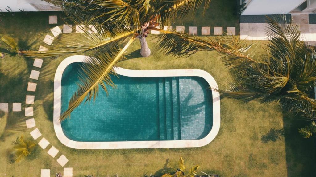 una vista aérea de una piscina junto a una palmera en Vila Nazare, en São Miguel do Gostoso