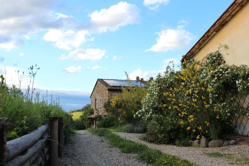 Příroda nedaleko bed and breakfast