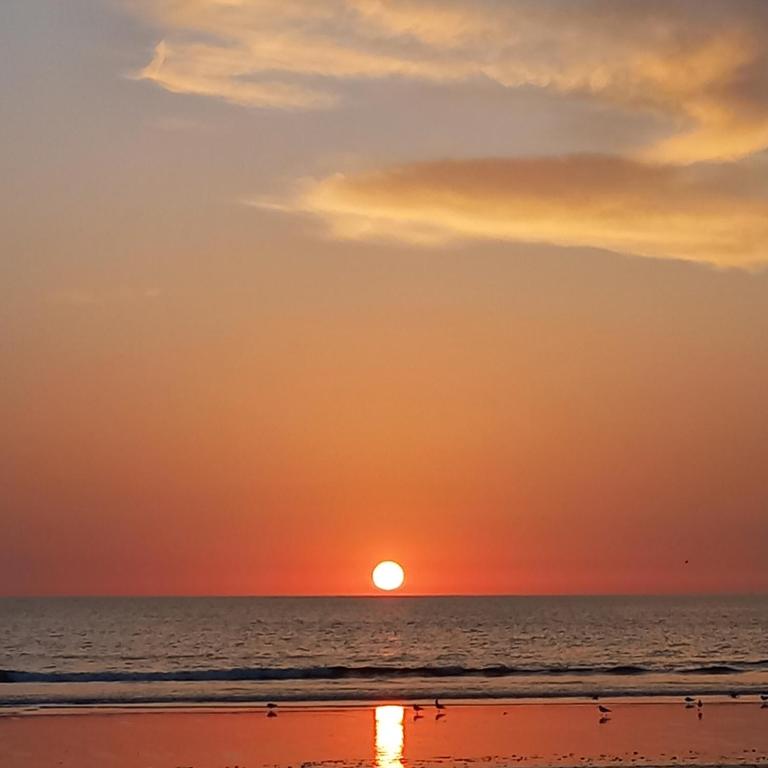 a sunset on the beach with the sun setting at Les géraniums in Agadir nʼ Aït Sa