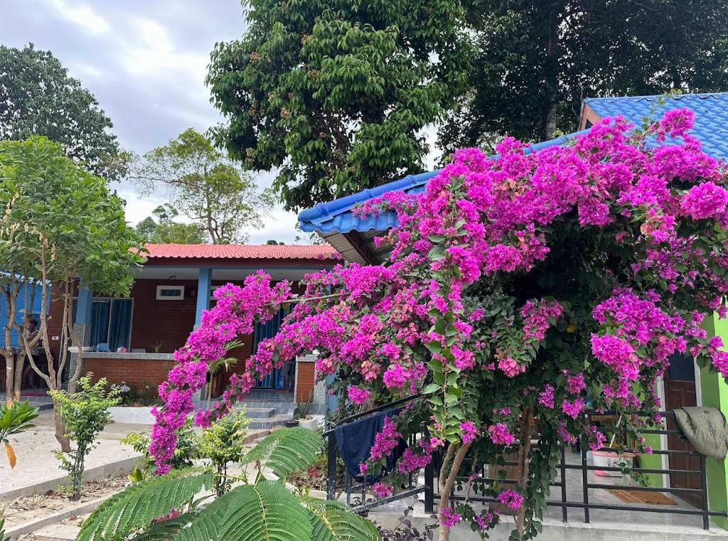 En have udenfor Garden Hostel Koh Rong