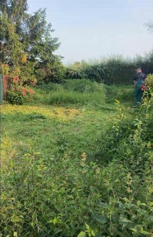 a field of grass with a person standing in it at Miejsce na namiot w Błońskim LeoLandzie in Błonie