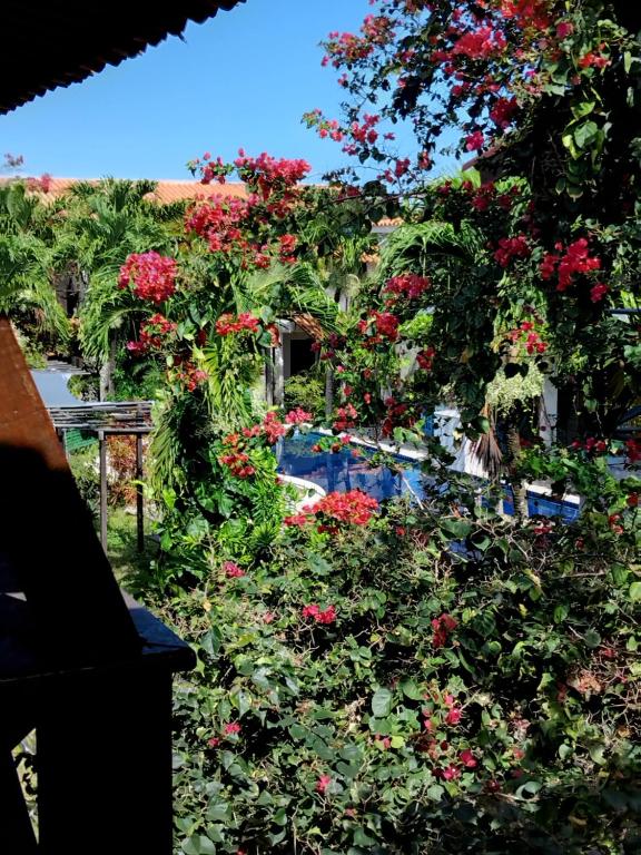 a garden with red flowers and a swimming pool at Falésias de Carapibus in Jacumã