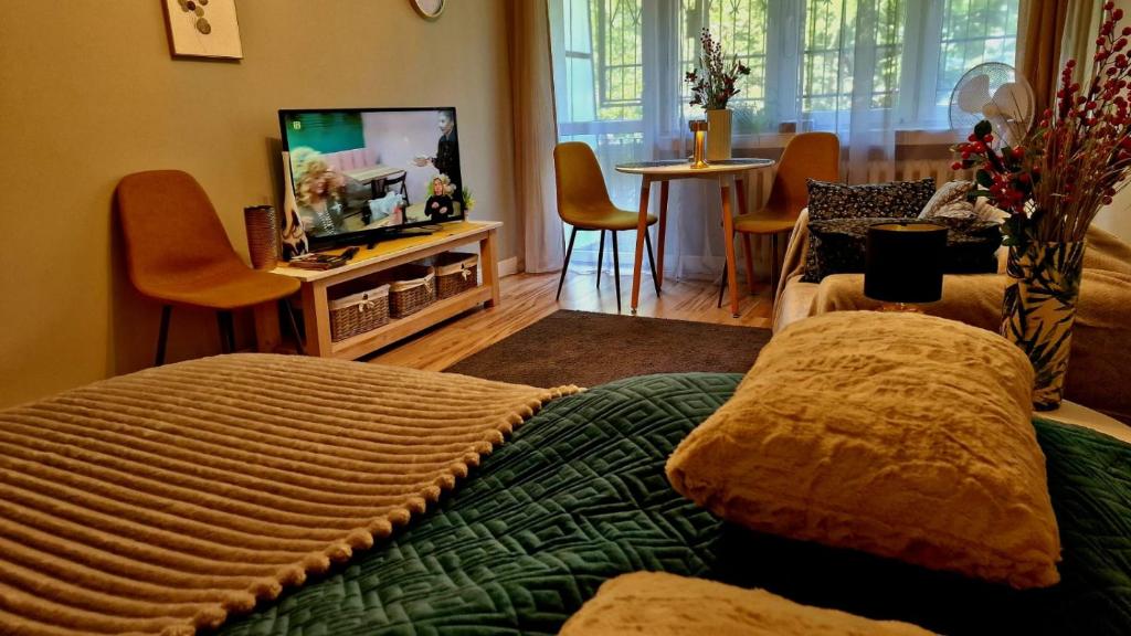 Μια τηλεόραση ή/και κέντρο ψυχαγωγίας στο Apartament Wapienna