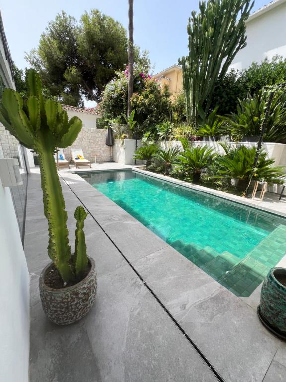 ein Kaktus in einem Topf neben einem Swimmingpool in der Unterkunft DreamHomesByMaria next to puerto banus in Marbella