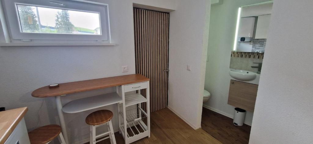 a small bathroom with a sink and a toilet at Smartes Business Studio in Immensee