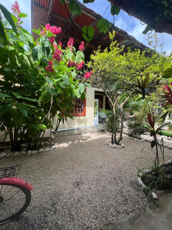 サマラにあるWoodstock Hostelのピンクの花が咲く庭園