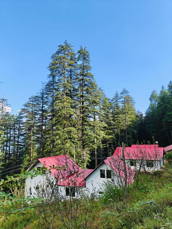 a white house with pink roofs in a forest at Mistymountaincottage in Shimla