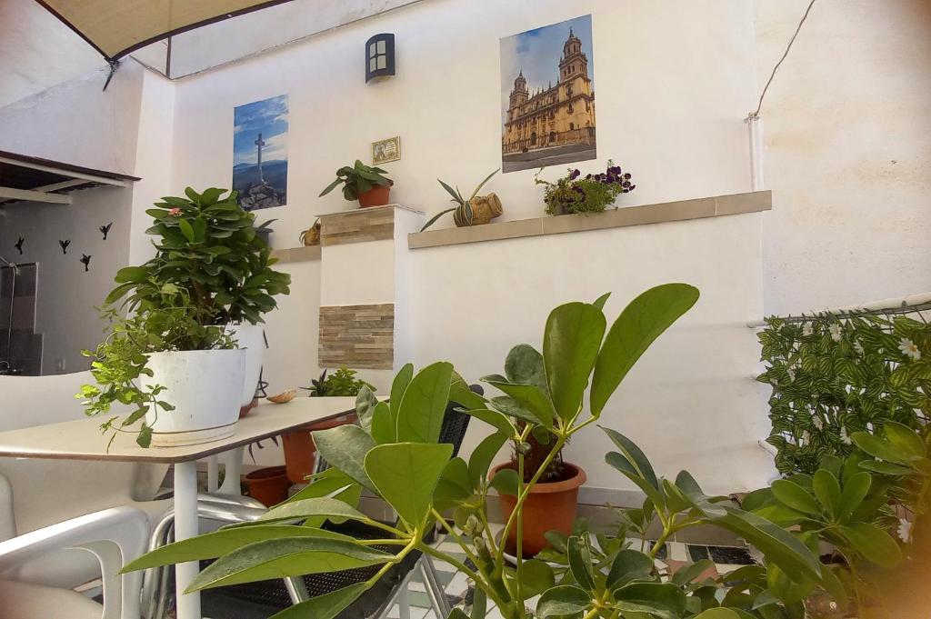 a room with lots of plants and posters on the wall at Casa Paraíso Interior Catedral Jaén in Jaén