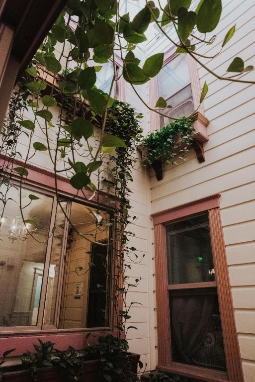 Green Tortoise Hostel photo