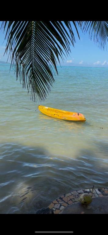 Chez Karlito - photo 9 - Moorea, Polynésie