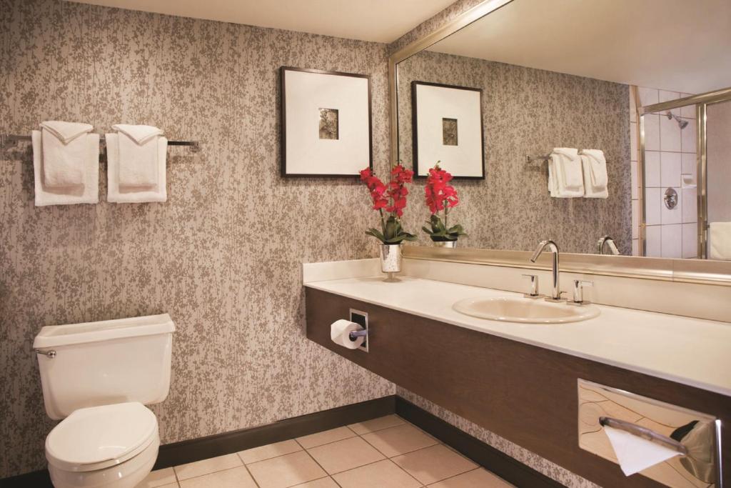 Excalibur photo