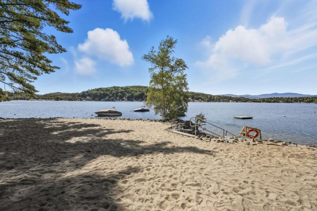 a beach with a tree and boats in the water at Lakeview Retreat Modern 2BR Condo on Newfound Lake in Bristol