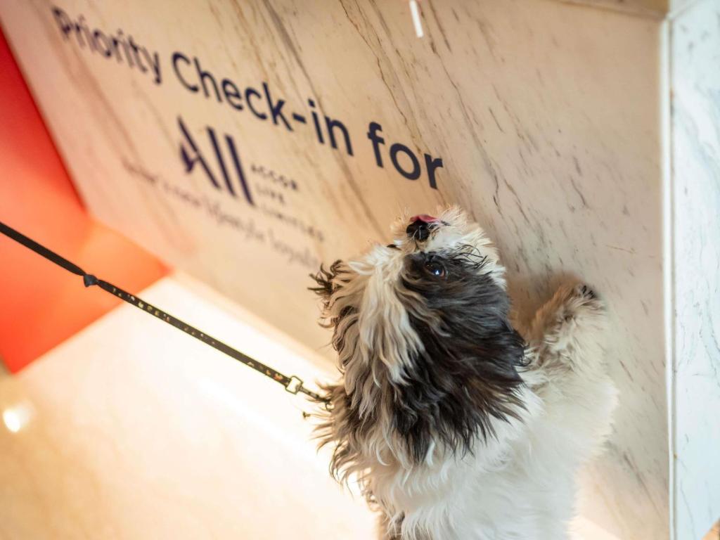 ibis Wien Hauptbahnhof - Resim 45