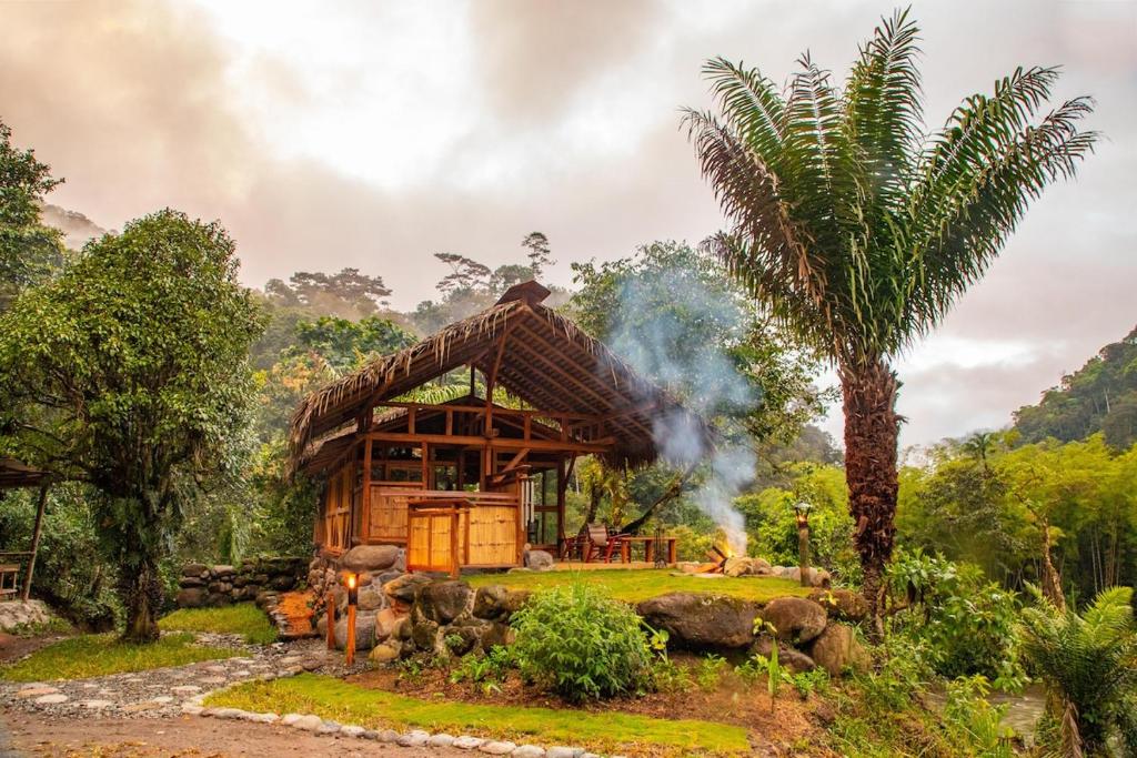 a resort with a palm tree and a house at Finca Aveterra, Luxurious Riverside Retreat in Mindo