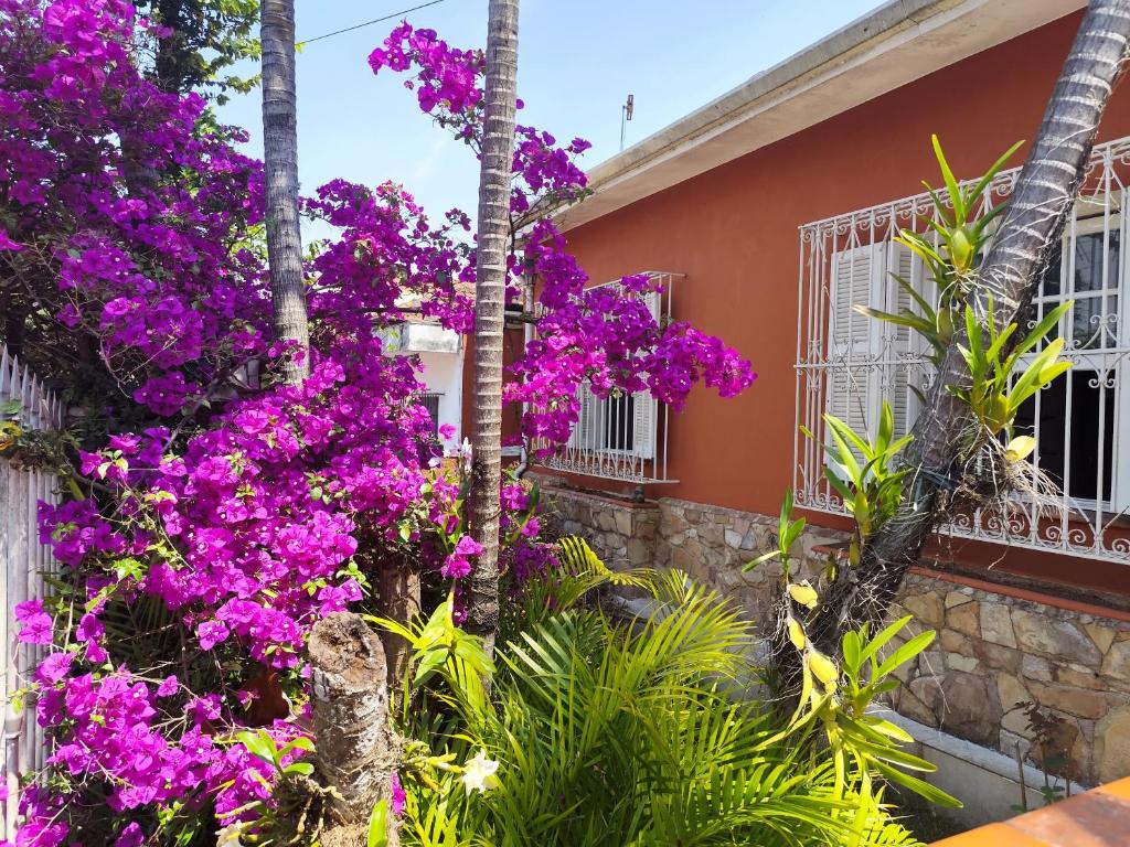 サンパウロにあるWR7 hostel SP EXPO a 5 min da expoの紫の花の家