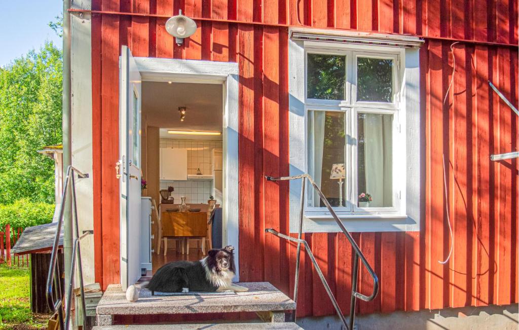 a dog sitting on the steps outside of a house at Nice Apartment In Storfors With Wifi in Storfors