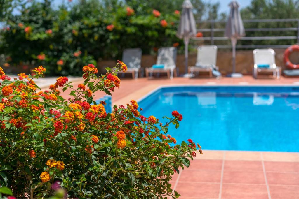 The swimming pool at or close to Villa Aretousa 2