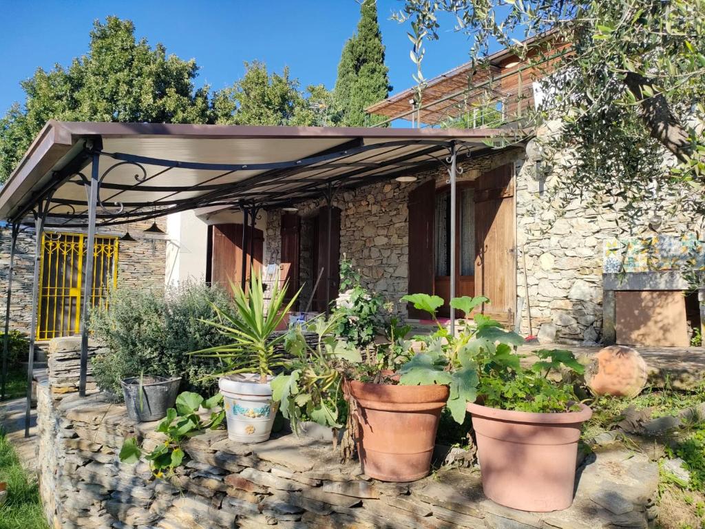 Κήπος έξω από το Casa Besansa