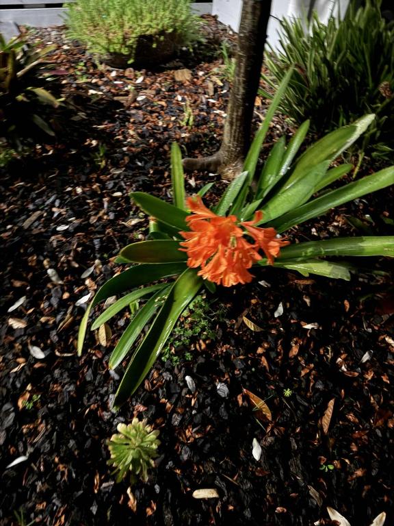 Seaside Retreat - Resim 36