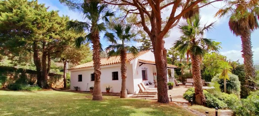 a white house with palm trees in the yard at Descansadero in Bolonia