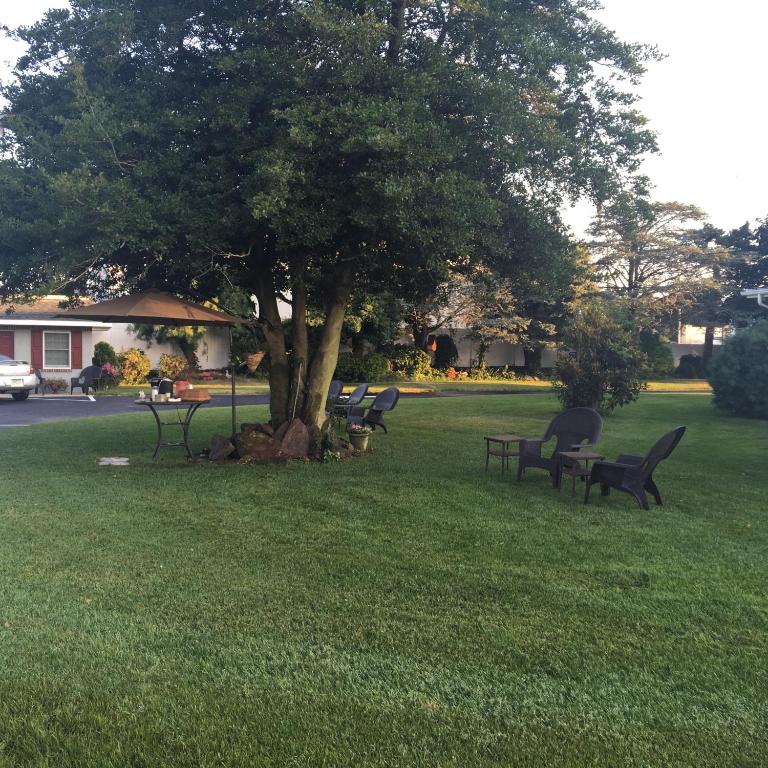 Zahrada ubytování Boulevard Motel