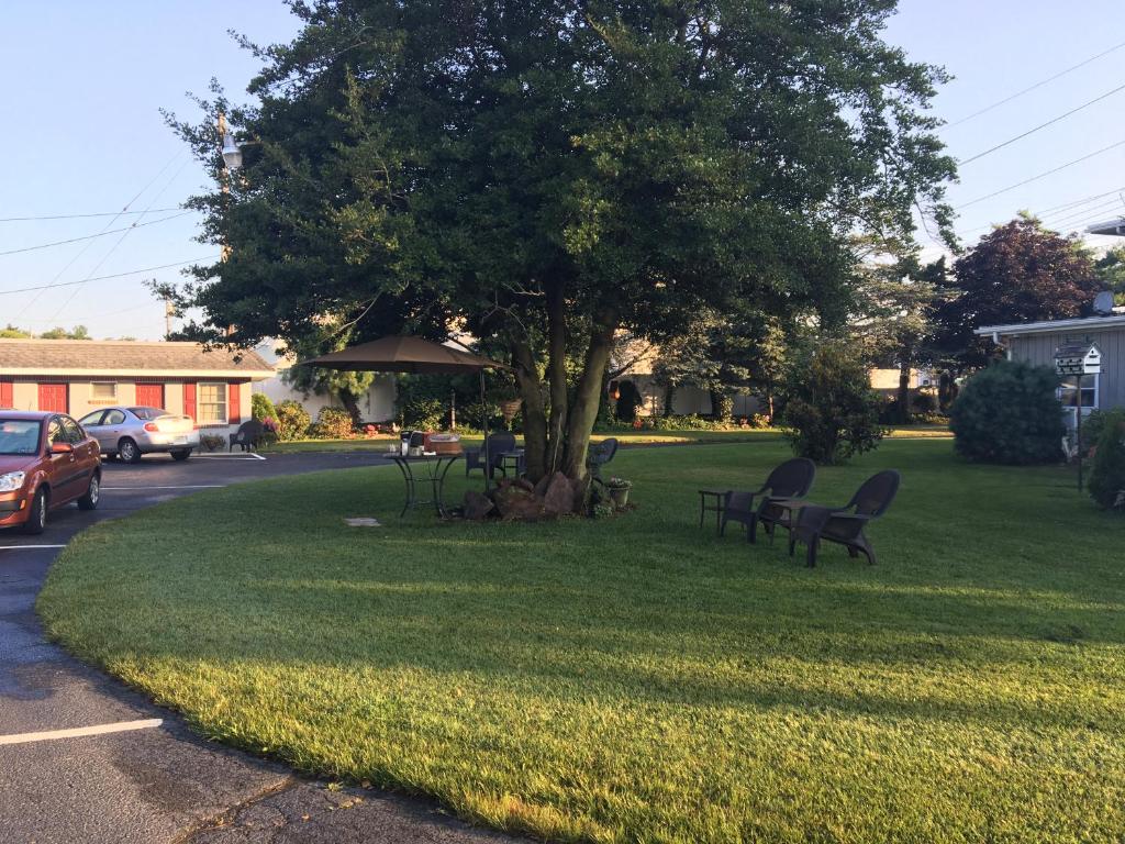 Zahrada ubytování Boulevard Motel