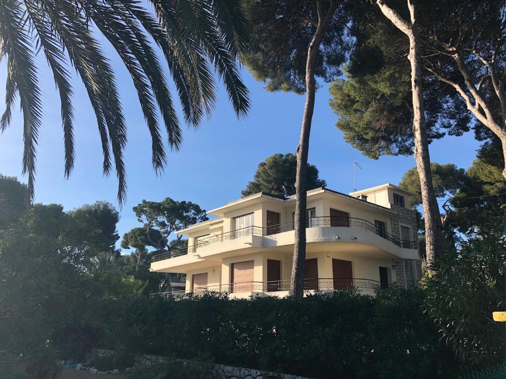 Palmiers et pins face à la mer dans une Villa classée du Cap d Antibes