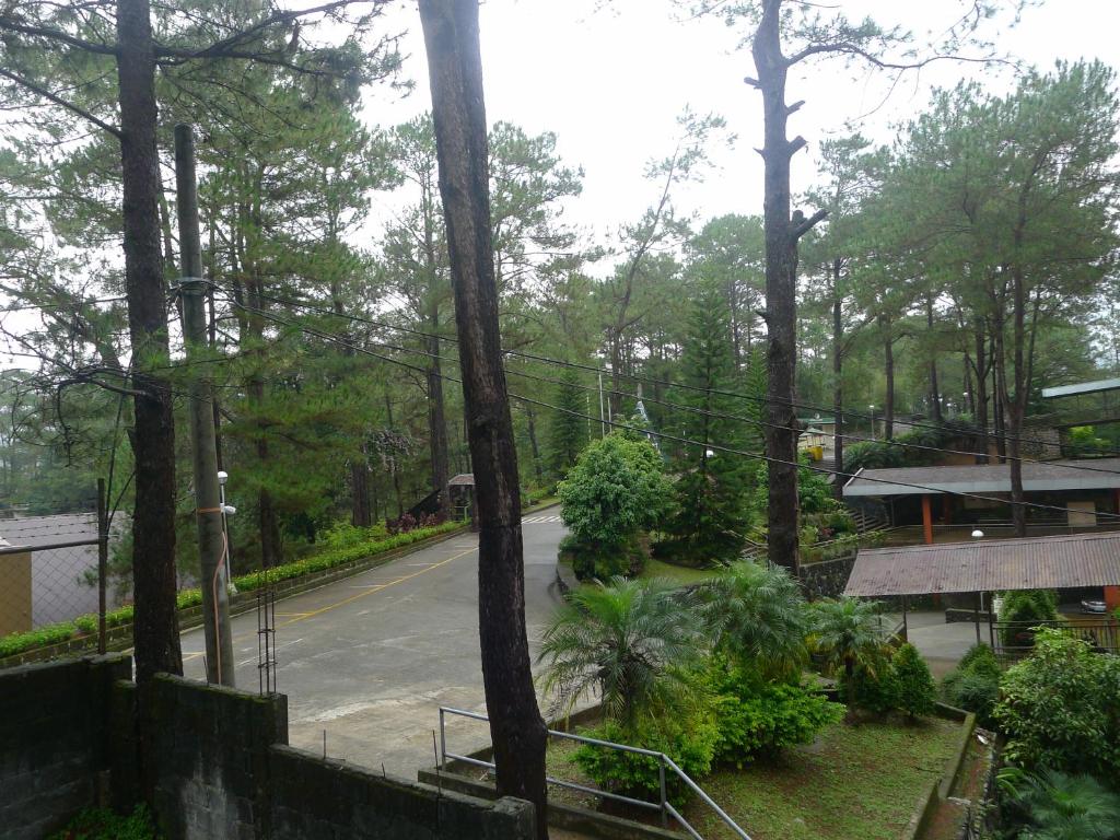 una vista de una carretera en un bosque con árboles en Amabel's Condo Unit FC, en Baguio