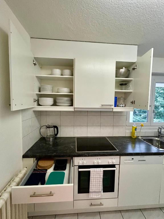 Chic Comfort in a Prime Zurich Location - Resim 7