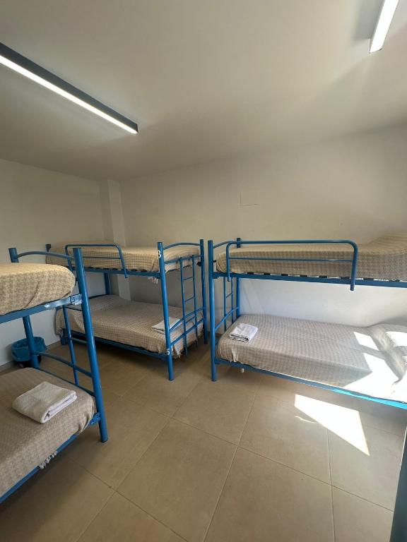 Albergue El Muro - Litera En Habitación Compartida Mixta