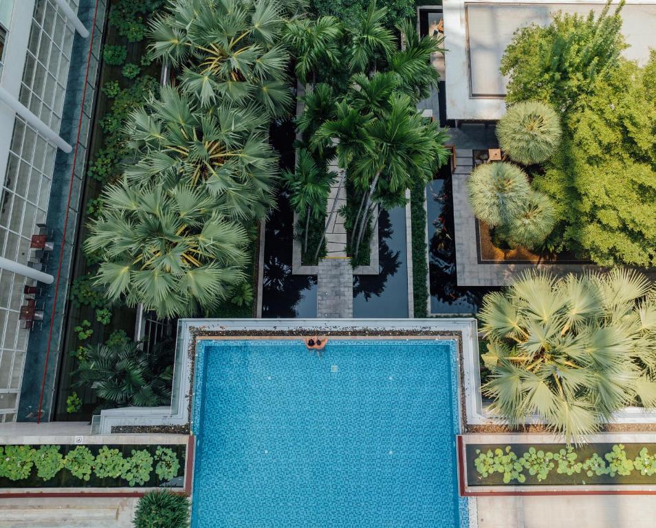 An elevated view of a rectangular pool surrounded by tropical planting and reflecting ponds.