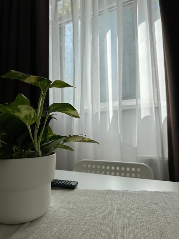 27 Rent House - Resim 29