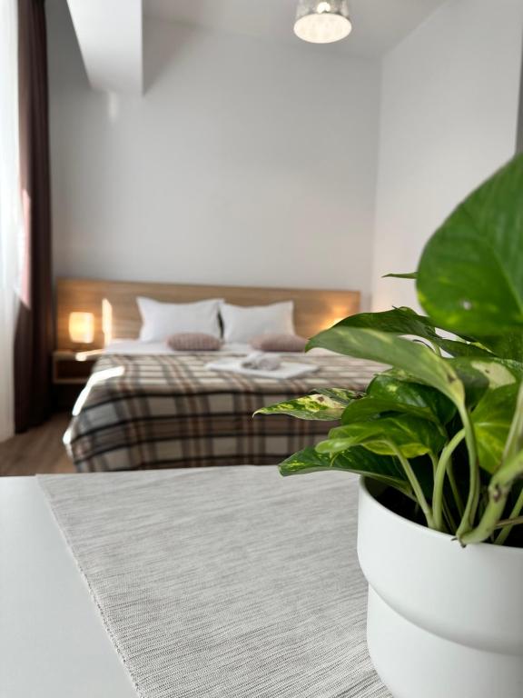 27 Rent House - Resim 28