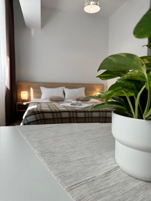 27 Rent House - Resim 22