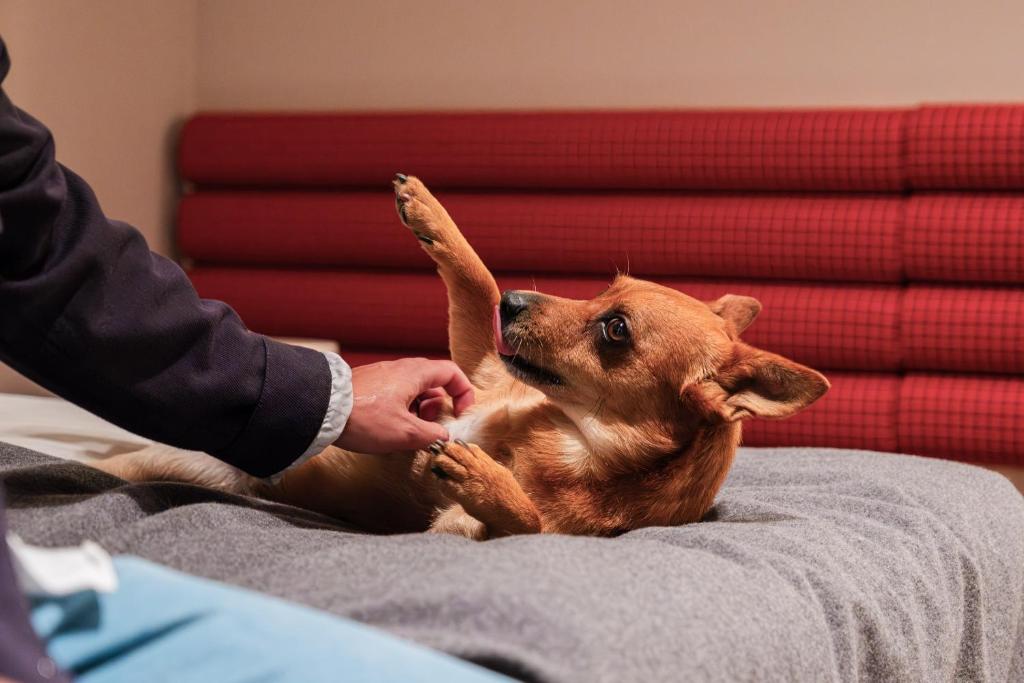 Citybox Stockholm - Resim 20