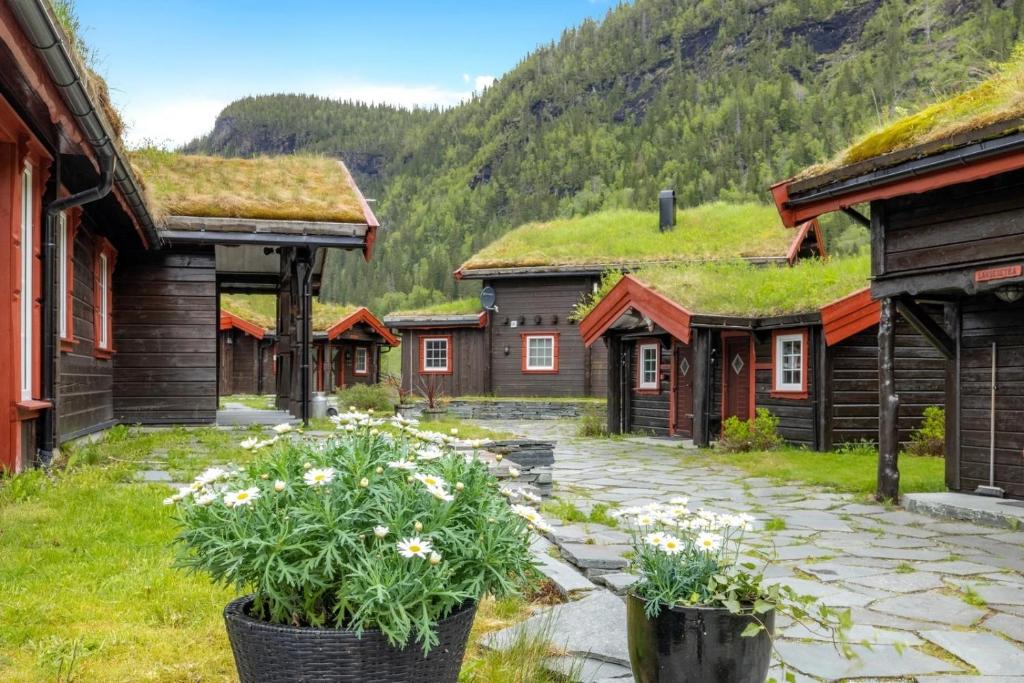 a row of wooden houses with grass roofs at Namsentunet in Grong