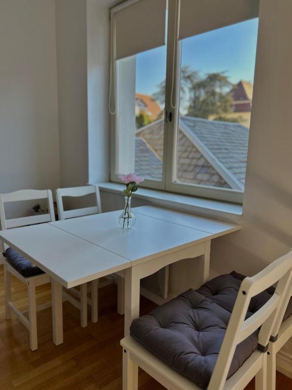 Appartement cosy au cœur de la Petite Venise - Colmar – photo 11