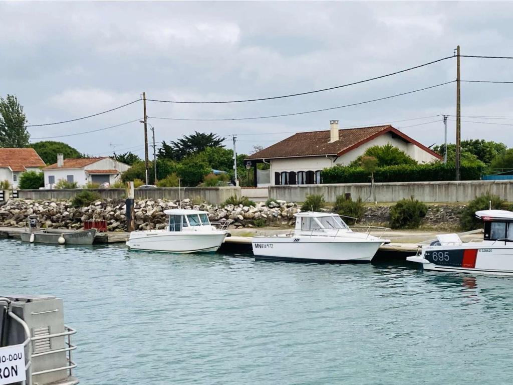 a group of boats docked at a dock in the water at Maison 4 pièces à Oléron avec WIFI et jardin proche plage - FR-1-246A-322 in Saint-Pierre-dʼOléron